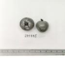 Click for 1 image(s) for this accession. FRUIT